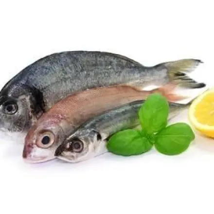 Fischsuppe