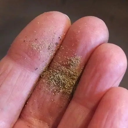 Wenn Katzen in die Ecken pinkeln