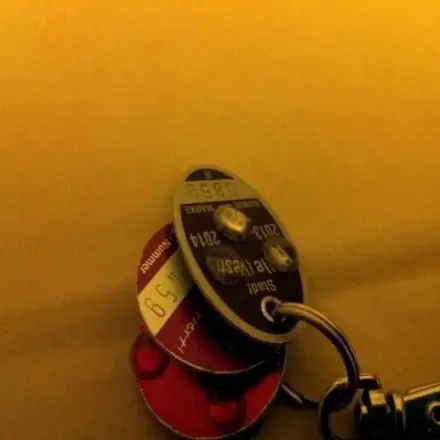 Klappern von Hundemarken vermeiden