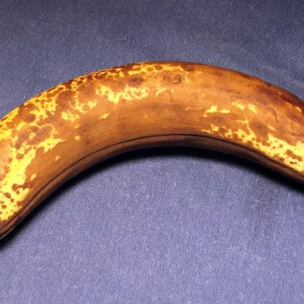 Bananenflecken in der Sonne entfernen