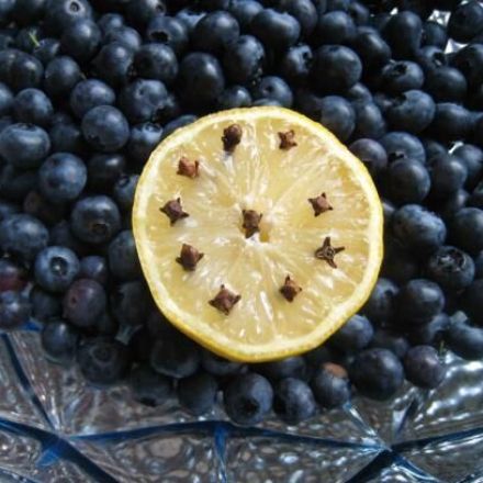 Insekten fernhalten mit Zitronen und Nelken