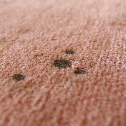 Flecken auf Teppichen entfernen