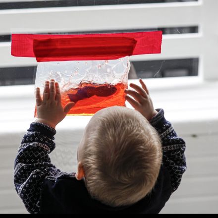 Bunte Wassertüte - das Baby Aquarium