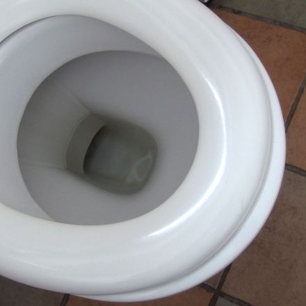 Mattgeschrubbten Klobrillen/-deckeln wieder Glanz verpassen