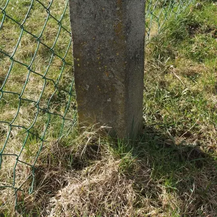 Lysol hält Hunde fern