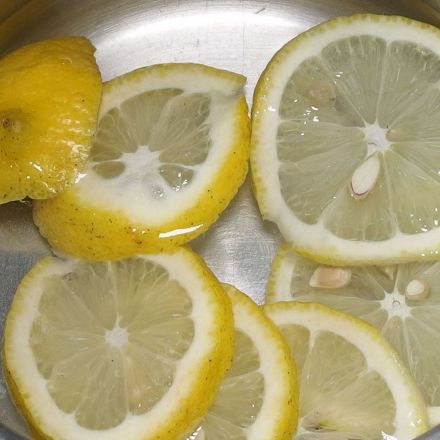 Blattläuse und Spinnmilben biologisch vertreiben