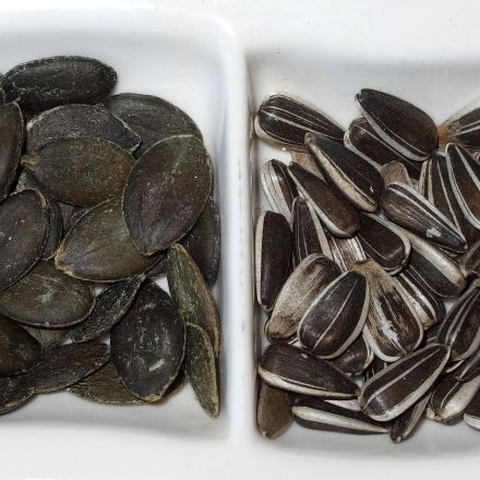 Kürbiskerne, Sonnenblumenkerne umsonst