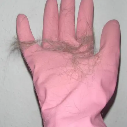Tierhaare mit Gummihandschuhen entfernen