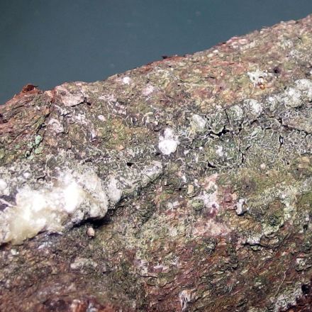 Baumharz aus den Haaren entfernen mit Butter