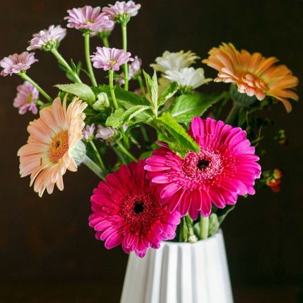 Pfefferminze als Blumenstrauß Grundlage