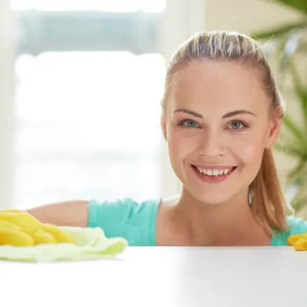 Fliegen mit Essigreiniger vertreiben