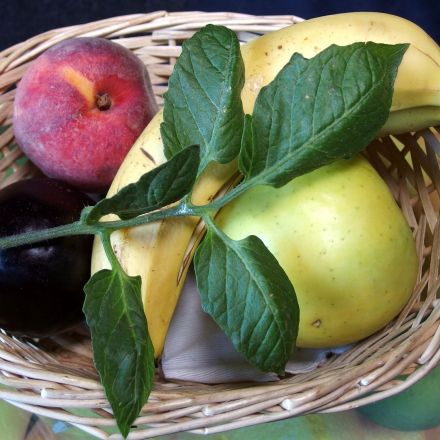 Fruchtfliegen vertreiben