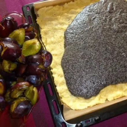 Pflaumen-Mohn-Kuchen auf dem Blech gebacken