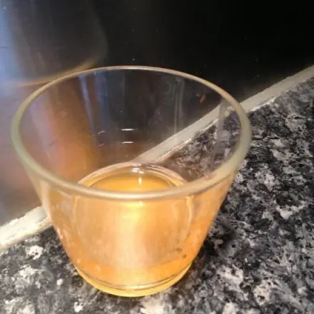 Beste Fruchtfliegenfalle ever