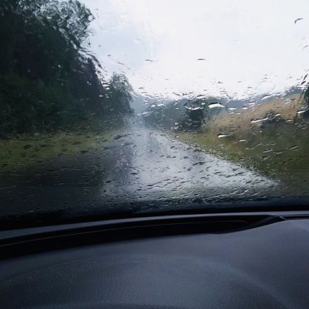 Länger saubere Fenster durch Regenabweiser
