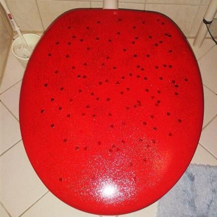 Klobrille / WC Sitz / Aus ALT mach NEU