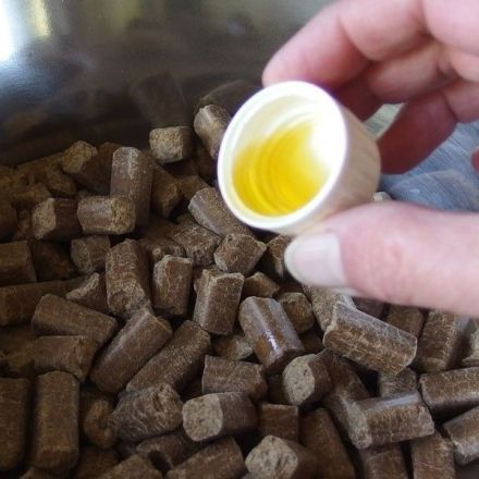 Weniger Hundehaare das ganze Jahr