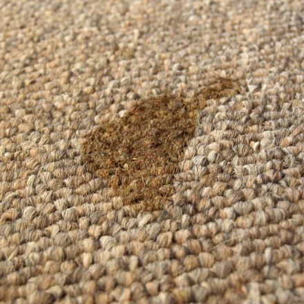 Flecken entfernen mit Küchen-Fettlöser