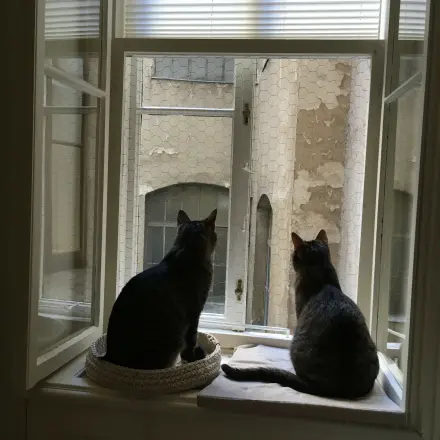 Fenster sichern ohne Schrauben und Bohren