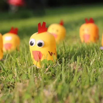 Überraschungsei-Küken