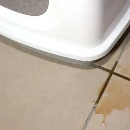 Katzen- und sonstigen Urin aufspüren