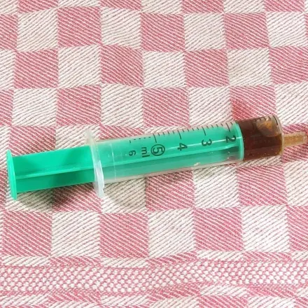 Katze Tablette geben - mithilfe einer Spritze problemlos