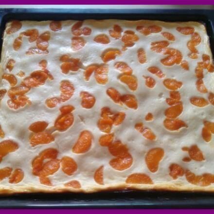 Käse-Mandarinen-Kuchen vom Blech
