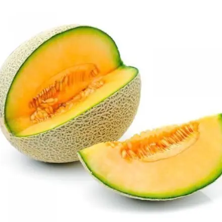 Die Zuckermelone - eine vitaminreiche und gesunde Frucht