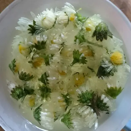 Gänseblümchentee