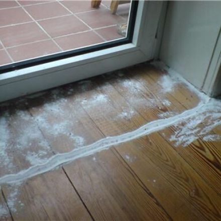 Ameisenköder gegen Ameisen