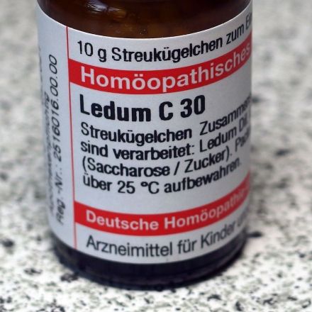 Mücken- und Wespenstiche homöopathisch behandeln