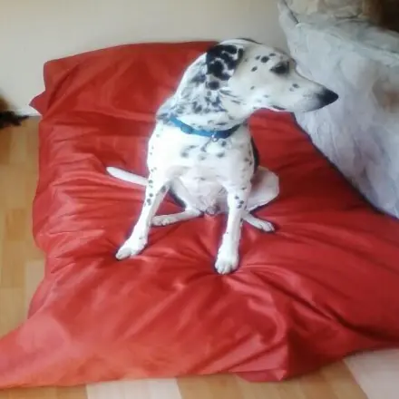 Bettzeug / Bettbezug schützen