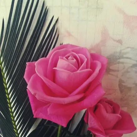 Schnittblumen frisch halten