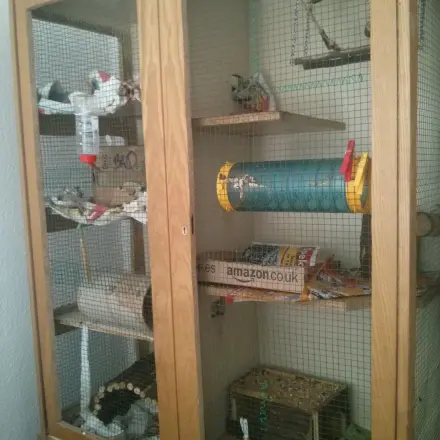 Nagerkäfig selbst bauen