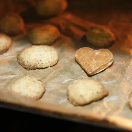 Hundekekse - Schinkensterne