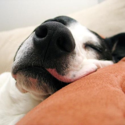 Was tun gegen Schnarchen?