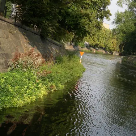 Geschenk für Senioren: Tour durch die eigene Stadt