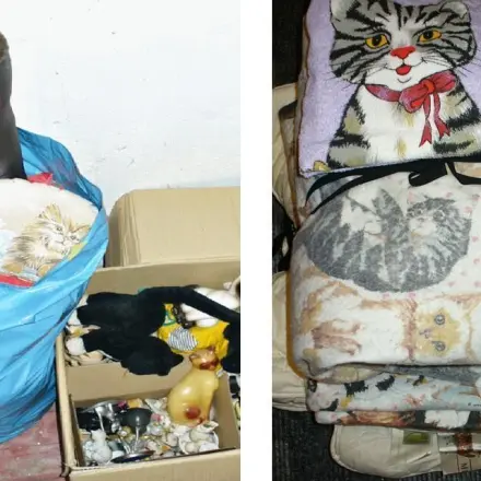 Sachspenden für Tierhilfsorganisationen