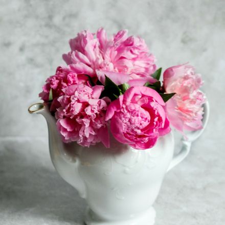 Unbenutzte Kaffeekanne als Gießkanne