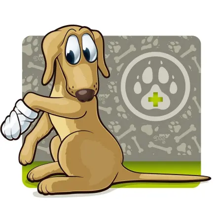 Pfotenverband beim Hund schützen