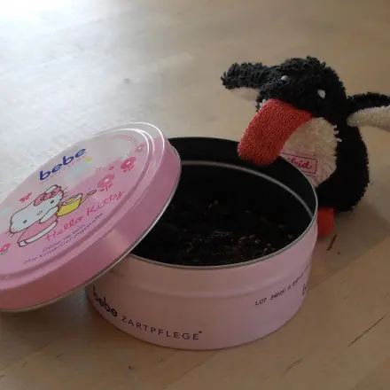 Mitbringsel/Geschenk - Kressebeet in der Dose