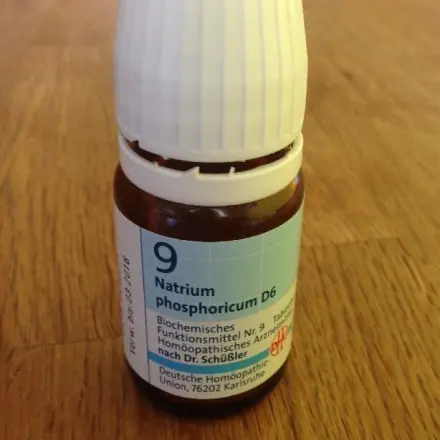 Durchfall und Erbrechen bei Hunden