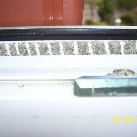 Klebereste von Fliegengitter entfernen