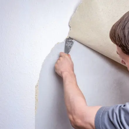 Tapeten ohne Probleme ablösen