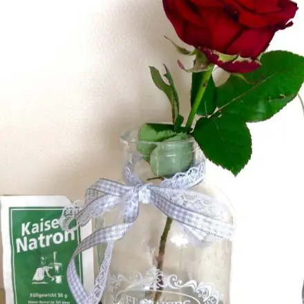 Schnittblumen halten länger frisch