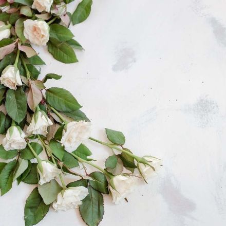 Rosen bleiben mit Zucker länger frisch