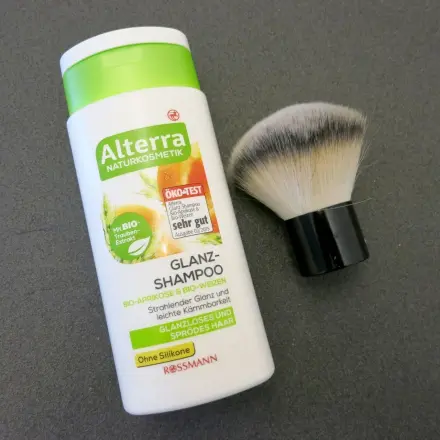 Pinsel reinigen/keine spröden Pinsel mit Shampoo