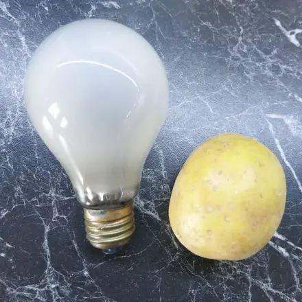 Zerbrochene Glühbirne mit Kartoffel rausschraubben