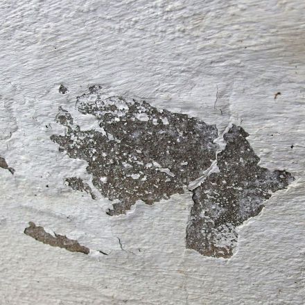 Putz fällt runter? Fläche vorher mit Fliesenkleber behandeln