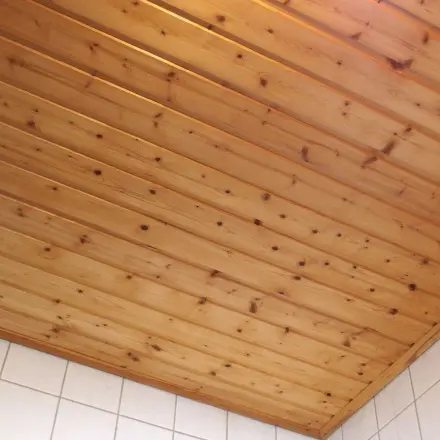 Nägel in Deckenleisten